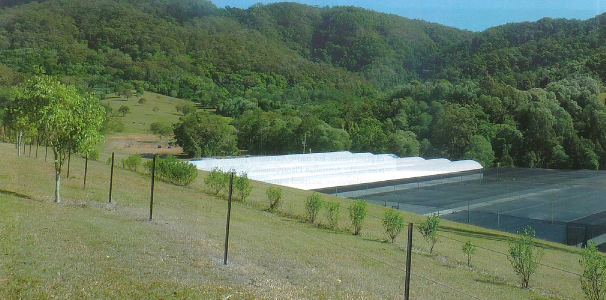 Commercial Nursery Gold Coast Hinterland